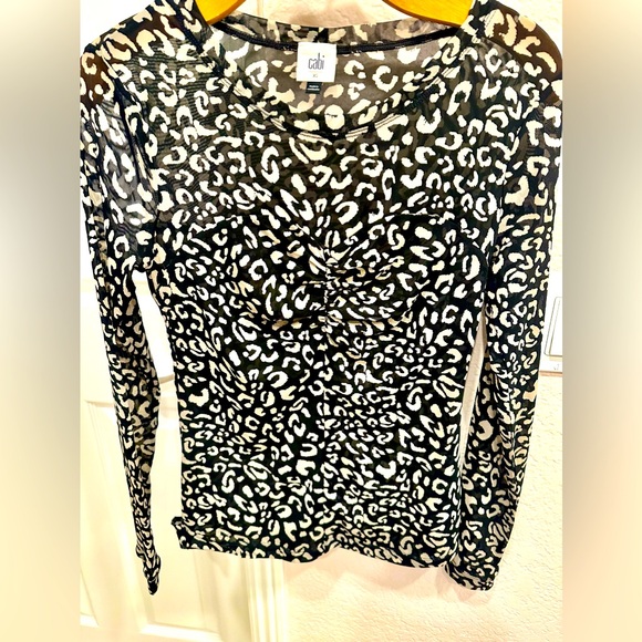 Cabi Mesh Sweetheart Top - Picture 1 of 2